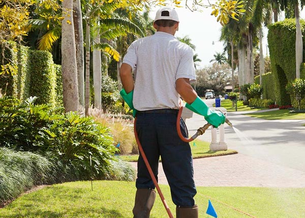 About Whitestone NY Pest Control Pros